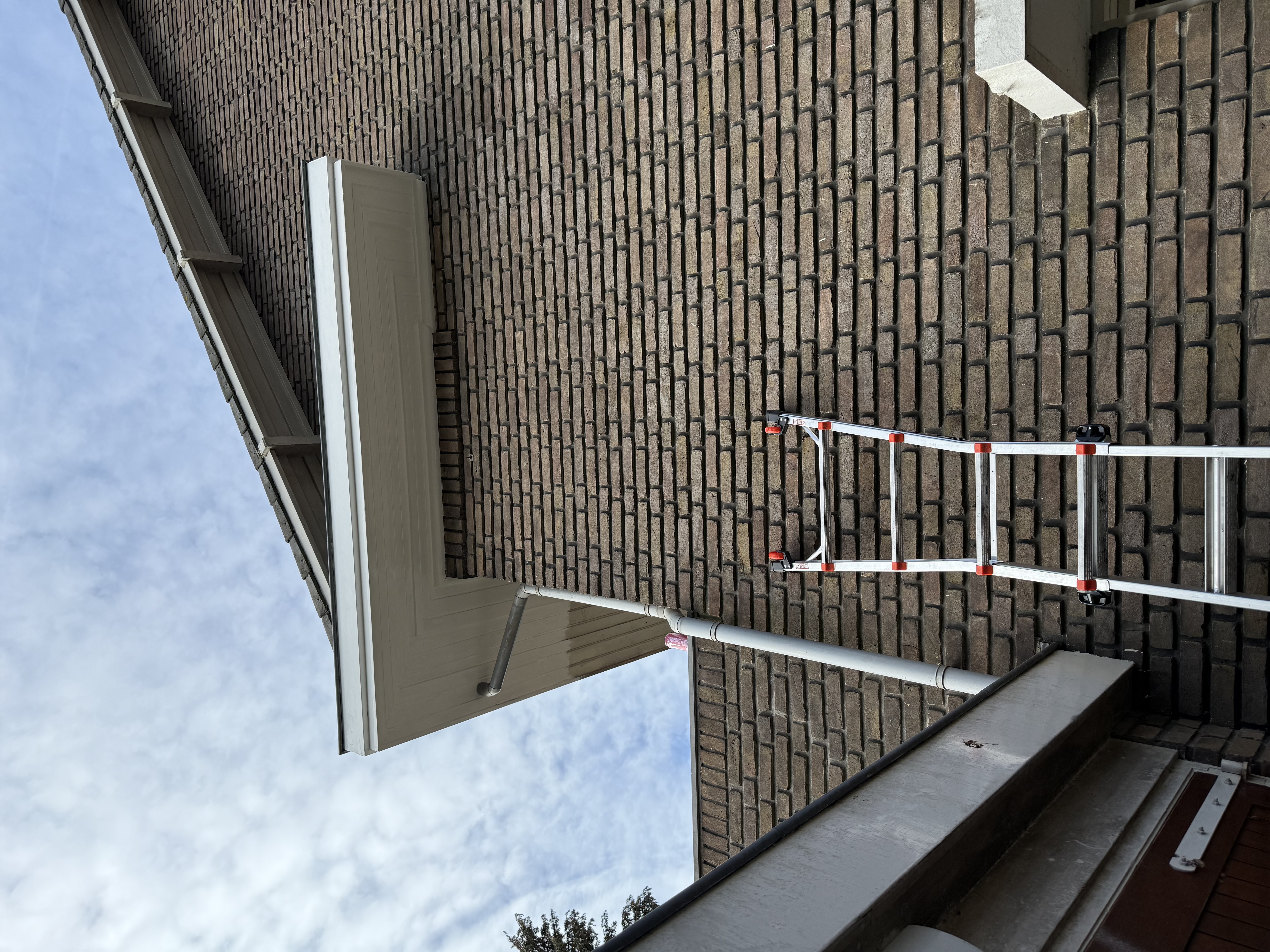 Dakgoot- en houtwerkherstel — Ridderkerk